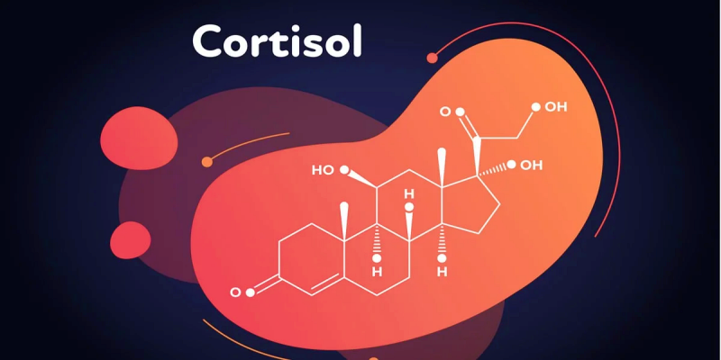 هرمون الكورتيزول