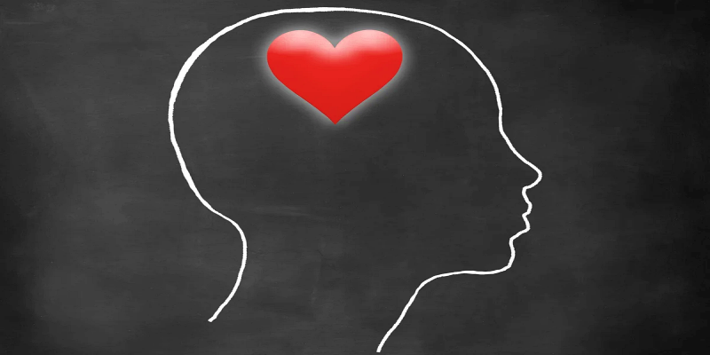 مناطق الدماغ الأخرى المرتبطة بالحب