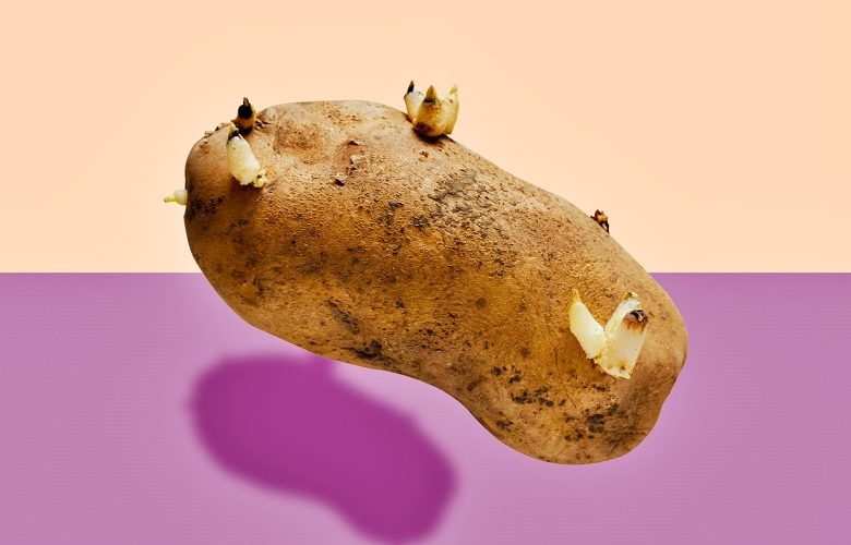 إليكي سيدتي.. سموم البطاطس المبرعمة ومخاطر تناولها على صحة أسرتك