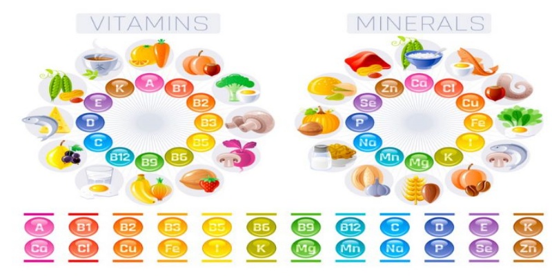 الفيتامينات والمعادن
