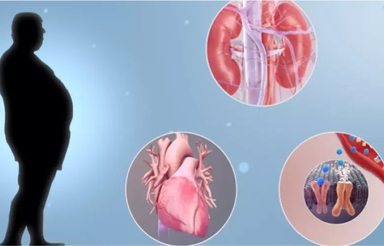 أنواع من الهرمونات المؤثرة على وزن الجسم