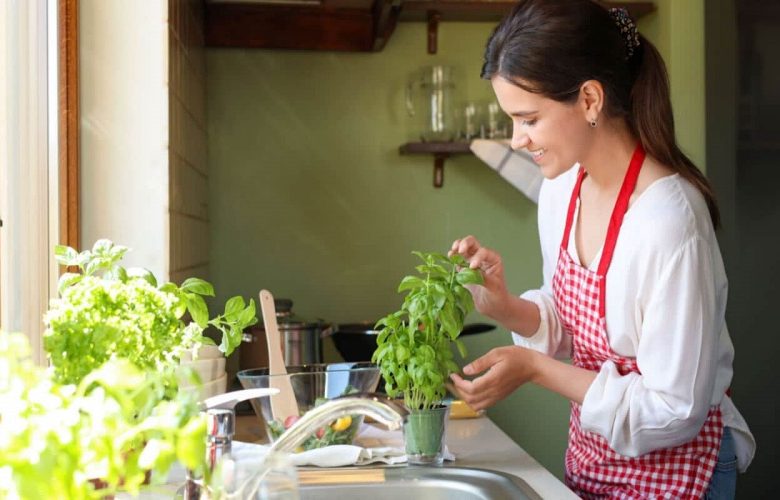 فوائد رائعة لنبات الريحان على صحة الإنسان