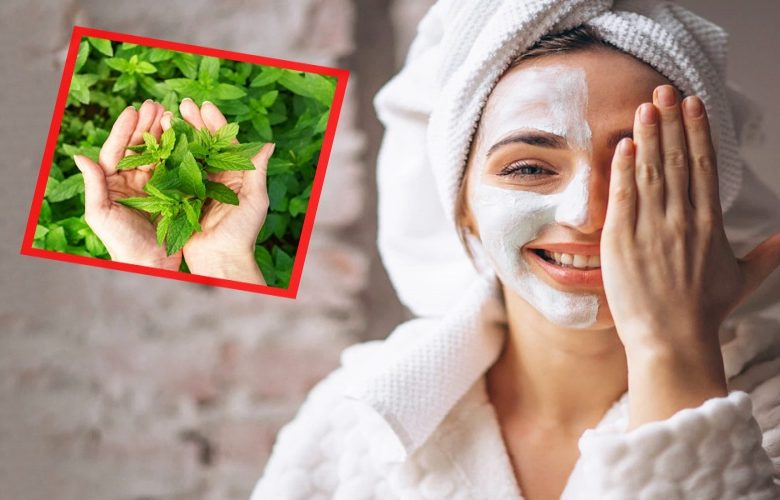 بعض وصفات تجميل البشرة بالإستعانة بأوراق النعناع