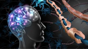 أسباب الدوخة لدى مرضى التصلب العصبي المتعدد