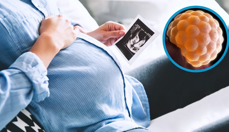 الفرق بين الحمل العنقودي والحمل المتعدد الفرق بين الحمل العنقودي والحمل المتعدد