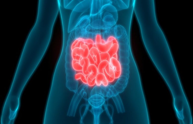 سرطان الأمعاء الدقيقة وأهم العلامات الدالة على حدوثه