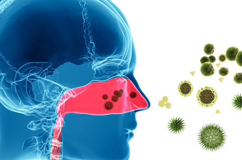 أنواع شائعة من فطريات الأنف