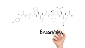 كيف يعمل هرمون الإندورفين؟