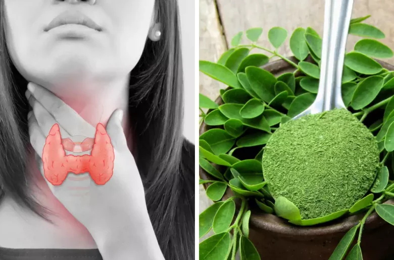 نباتات عشبية لتنشيط الغدة الدرقية الخاملة