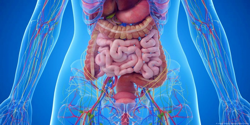  اضطرابات صحة الأمعاء