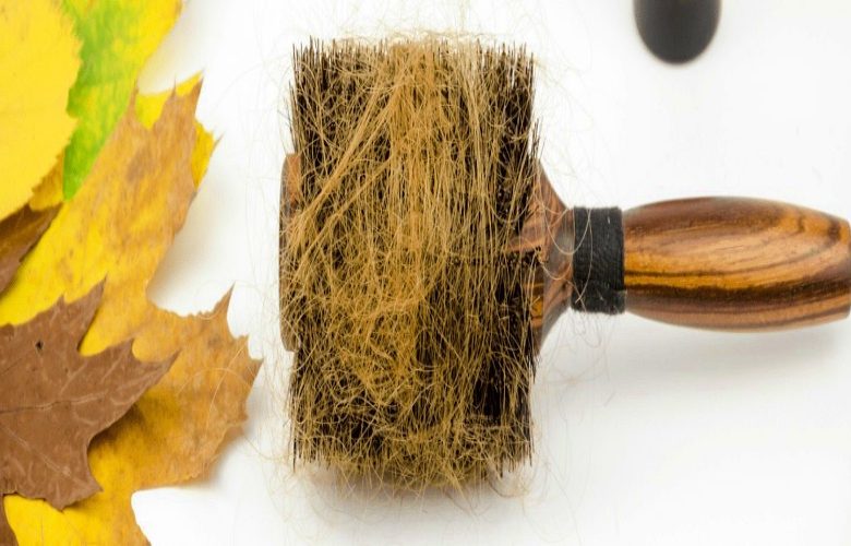 تدابير صحية للوقاية من أزمة تساقط الشعر خلال فصل الخريف تدابير صحية للوقاية من أزمة تساقط الشعر خلال فصل الخريف