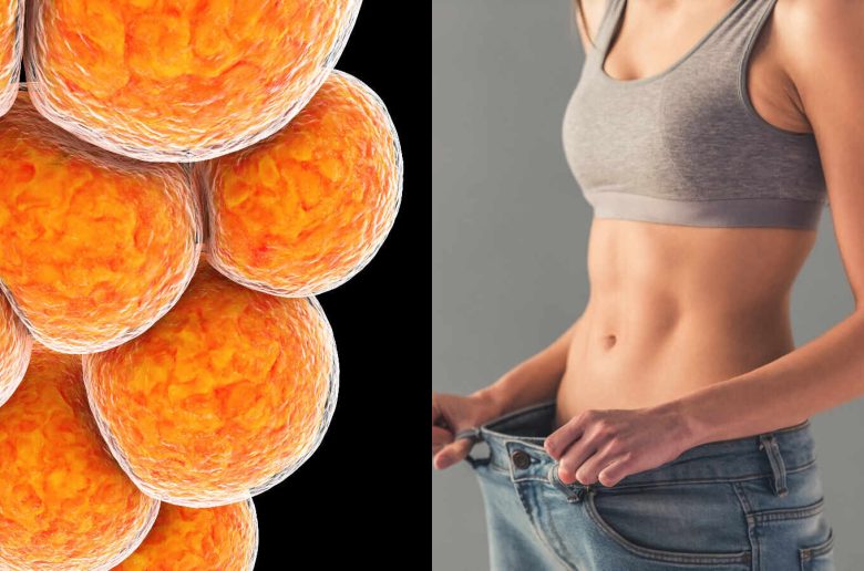 طرق فعالة لتحفيز الدهون البنية المفيدة لإنقاص الوزن
