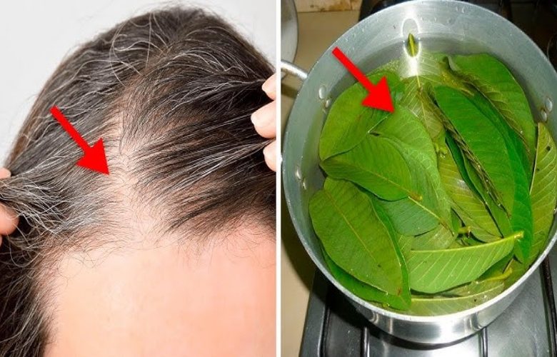5 فوائد جمالية لروتين غسل الشعر بماء أوراق الجوافة