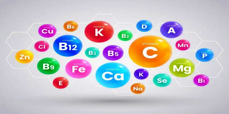 الفيتامينات والمعادن