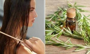 طرق استعمال زيت الروزماري كعلاج لحالات الصلع البسيط