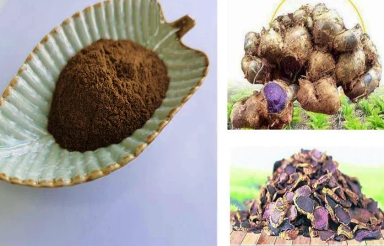 الزنجبيل الأسود وفوائده الصحية العديدة والمتنوعة