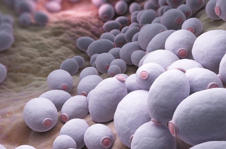 داء المبيضات