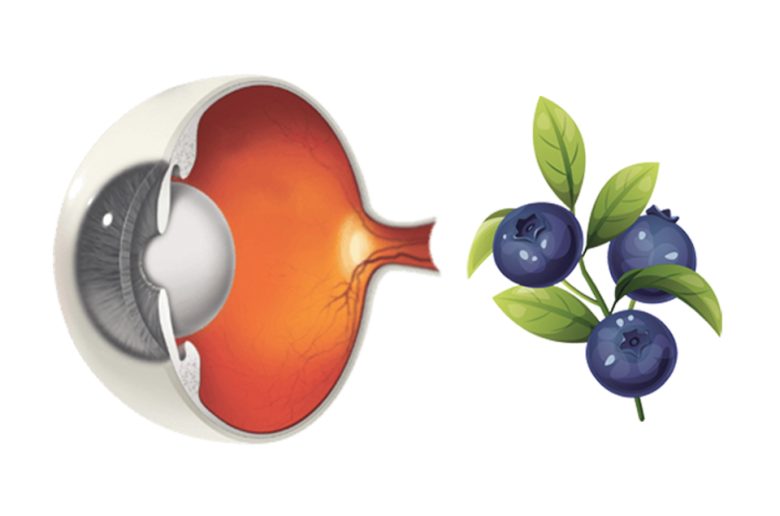 أسباب تناول التوت الأزرق لتحسين صحة العيون