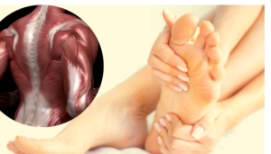 تسكين الألم وتهدئة الإلتهاب