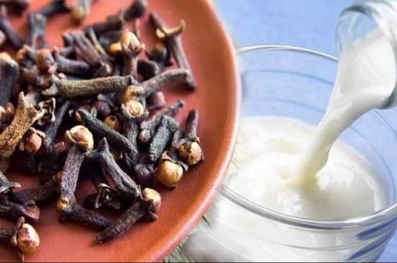فوائد القرنفل مع الحليب للرغبة الجنسية لدى الرجال فوائد القرنفل مع الحليب للرغبة الجنسية لدى الرجال