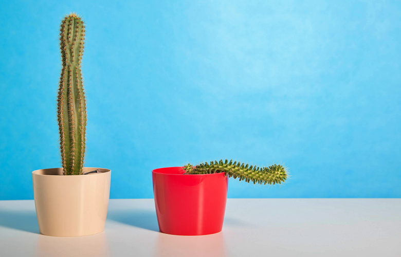 5 عادات تساهم في تحسين ضعف الانتصاب عند الرجال