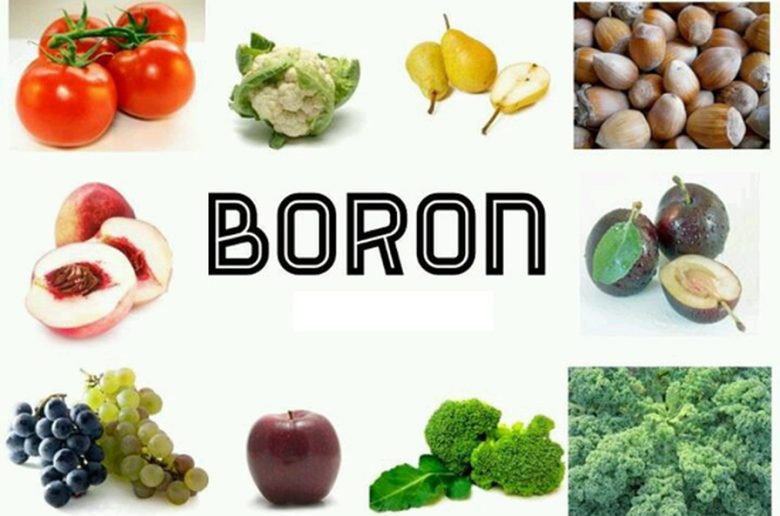 أطعمة غنية بمعدن البورون