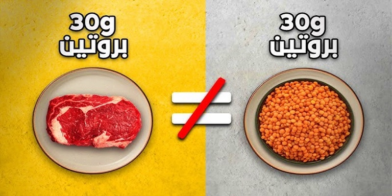 اختيار مصادر البروتين عالية الجودة