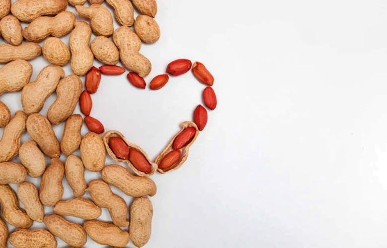 الفول السوداني ودوره الفعال في الحفاظ على صحة القلب