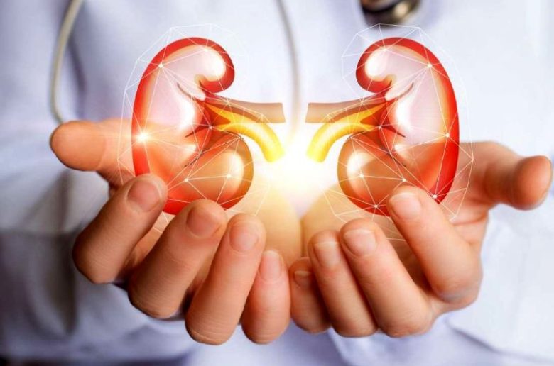 خضراوات مفيدة لصحة الكلى في رمضان