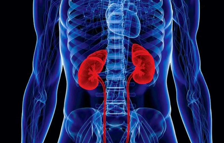 متلازمة بارتر.. الأسباب والأعراض وطرق العلاج والوقاية