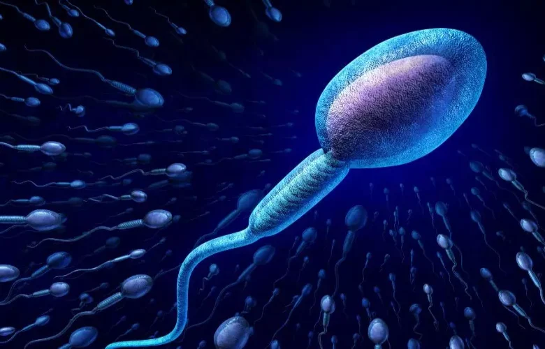 5 عادات بسيطة لمساعدة الرجال على تحسين صحة الحيوانات المنوية