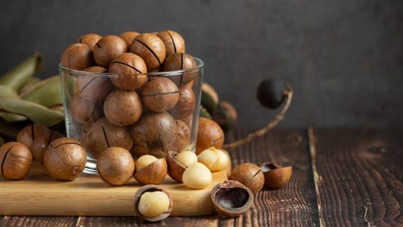 فوائد مكسرات المكاديميا فوائد مكسرات المكاديميا