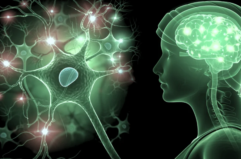 مشروبات طبيعية لتدعيم صحة الجهاز العصبي