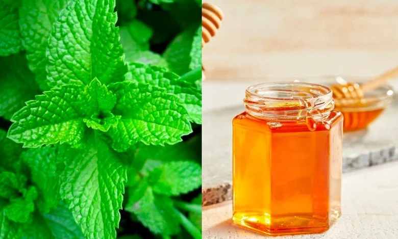 وصفة العسل بالريحان