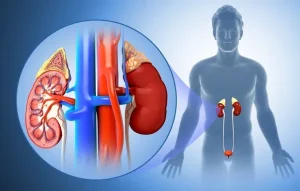 أسباب ارتفاع فوسفات الدم
