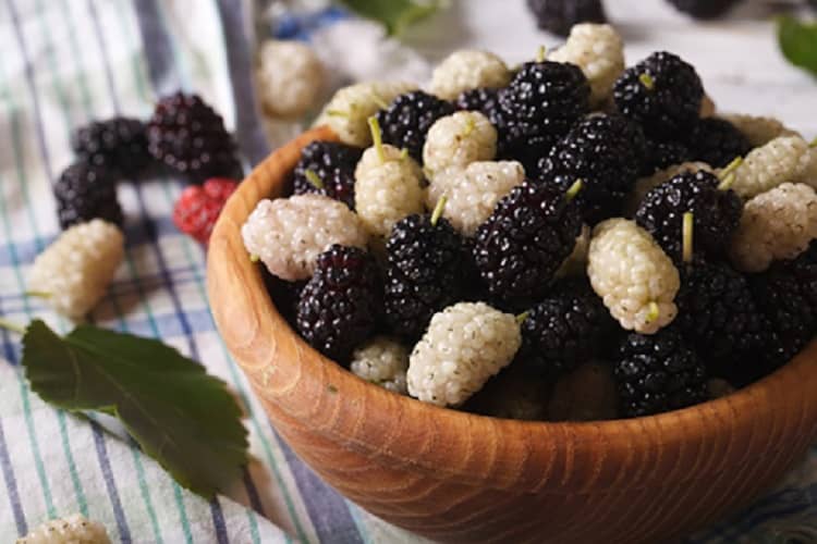 أضرار الإفراط في تناول التوت