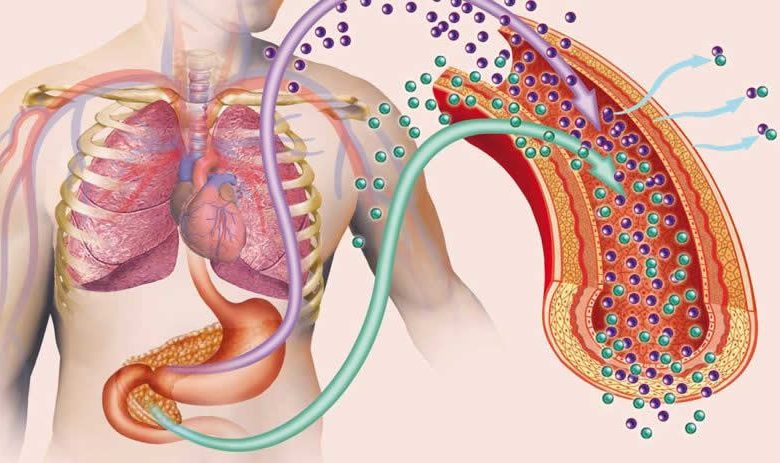 أطعمة لتحسين حساسية الأنسولين لدى مرضى السكري