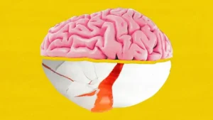تحسين صحة وظائف الدماغ