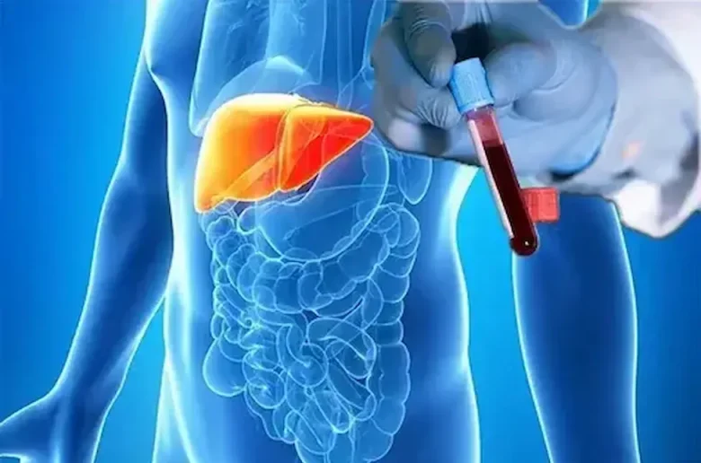 فحوصات طبية للإطمئنان على صحة وظائف الكبد