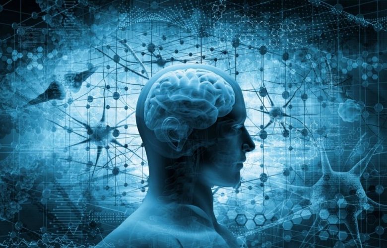 كيف نعمل على تحسين حالة الذاكرة؟