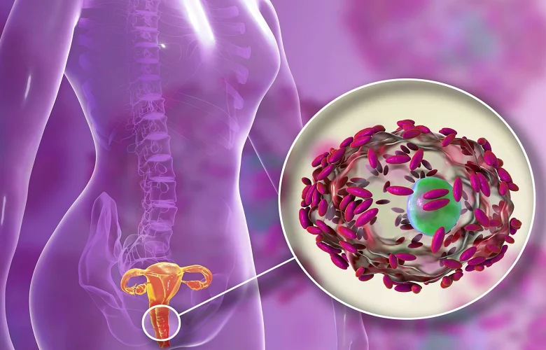 لماذا تسبب التغيرات الهرمونية معاناة المرأة من التهاب المهبل؟