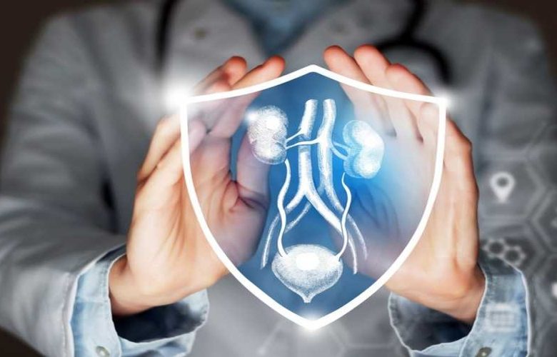 5 تدابير فعالة لدعم أنظمة علاج التهاب المسالك البولية