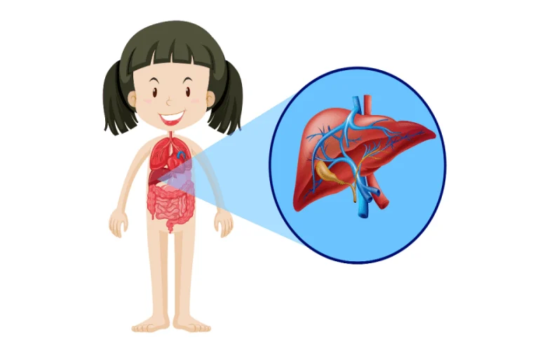 ارتفاع إنزيمات الكبد عند الأطفال وعلام تدل هذه الحالة المرضية؟