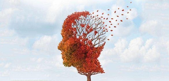 عادات يجب تجنبها للوقاية من الزهايمر