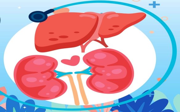 4 أنماط حياتية بسيطة لدعم عملية إزالة السموم من الكبد والكلى