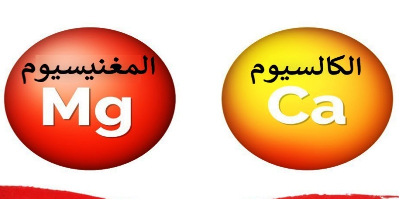 المغنيسيوم والكالسيوم
