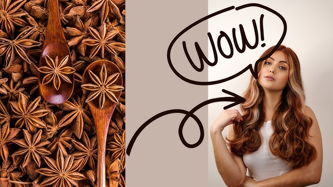 فوائد الينسون النجمي للشعر فوائد الينسون النجمي للشعر