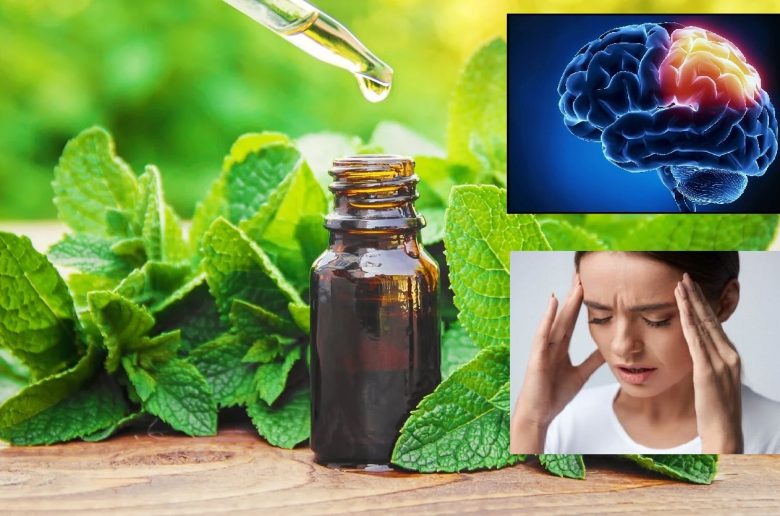 كيفية استخدام المنثول في علاج الصداع النصفي كيفية استخدام المنثول في علاج الصداع النصفي