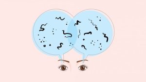 أسرار تشريح العين