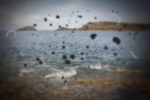 حول ظاهرة عوائم العين
